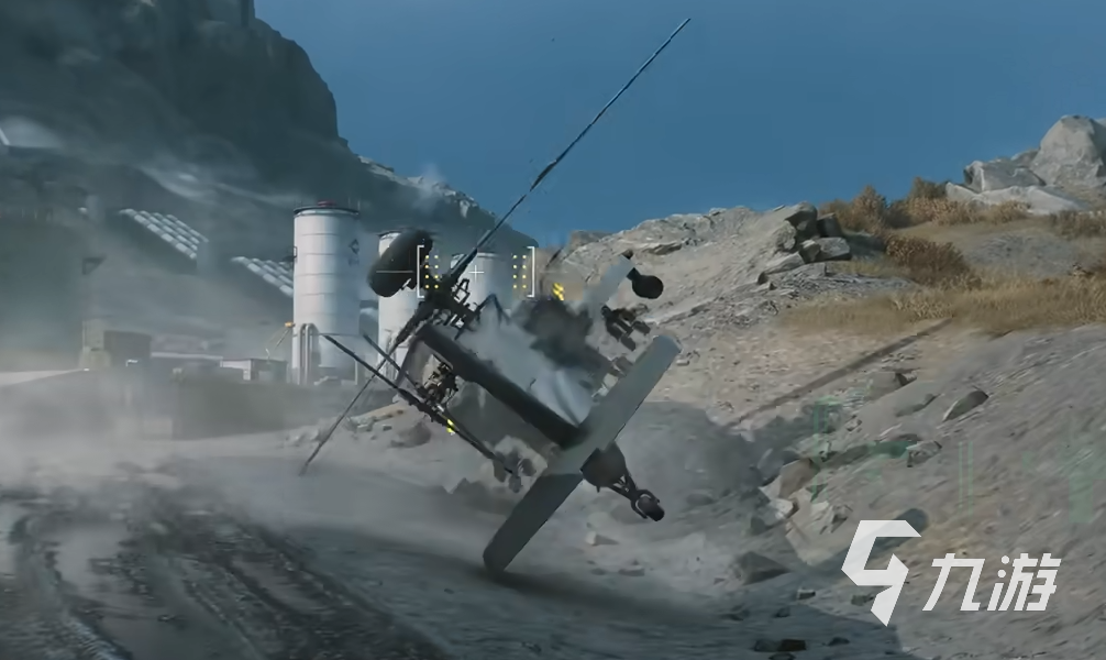 项目纳入国 项目纳入国